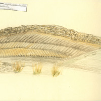 Colour pencil drawing of bog landscape