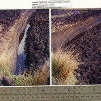 Colour photographs of bog sites taken by Joe Vaněk in research for design of production for 